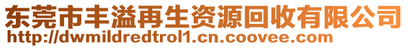 東莞市豐溢再生資源回收有限公司