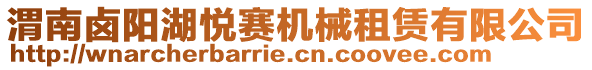 渭南鹵陽(yáng)湖悅賽機(jī)械租賃有限公司