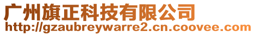 廣州旗正科技有限公司