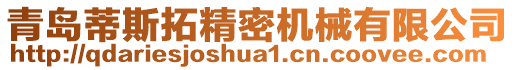 青島蒂斯拓精密機(jī)械有限公司