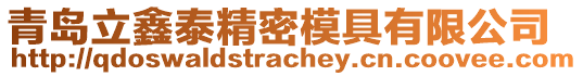 青島立鑫泰精密模具有限公司