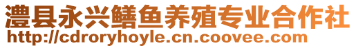 澧縣永興鱔魚養(yǎng)殖專業(yè)合作社