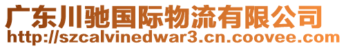 廣東川馳國(guó)際物流有限公司