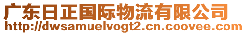 廣東日正國際物流有限公司