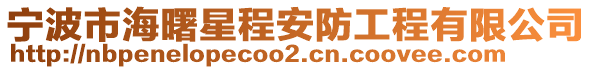 寧波市海曙星程安防工程有限公司