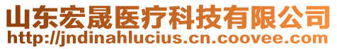 山東宏晟醫(yī)療科技有限公司