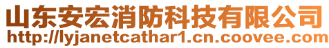 山東安宏消防科技有限公司