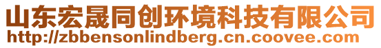 山東宏晟同創(chuàng)環(huán)境科技有限公司