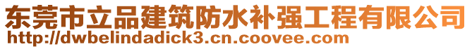 東莞市立品建筑防水補強工程有限公司