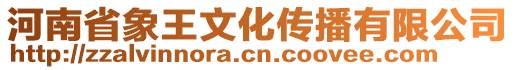 河南省象王文化傳播有限公司