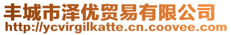 豐城市澤優(yōu)貿(mào)易有限公司