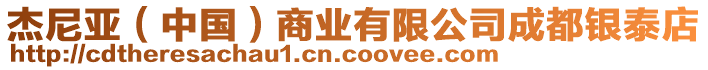 杰尼亞（中國(guó)）商業(yè)有限公司成都銀泰店