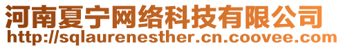 河南夏寧網(wǎng)絡(luò)科技有限公司