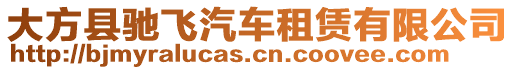 大方縣馳飛汽車租賃有限公司