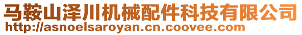 馬鞍山澤川機械配件科技有限公司