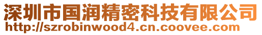 深圳市国润精密科技有限公司