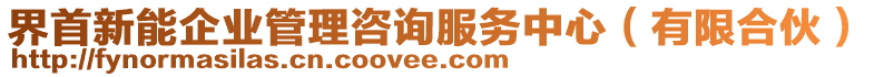 界首新能企業(yè)管理咨詢服務(wù)中心（有限合伙）