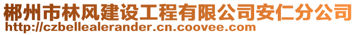 郴州市林風(fēng)建設(shè)工程有限公司安仁分公司