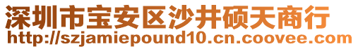 深圳市寶安區(qū)沙井碩天商行