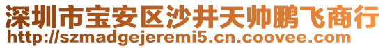 深圳市寶安區(qū)沙井天帥鵬飛商行