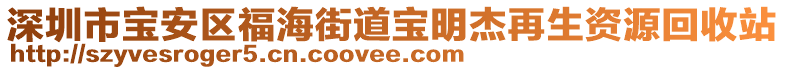 深圳市寶安區(qū)福海街道寶明杰再生資源回收站