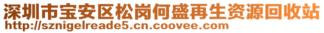 深圳市寶安區(qū)松崗何盛再生資源回收站