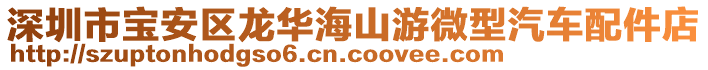 深圳市寶安區(qū)龍華海山游微型汽車配件店