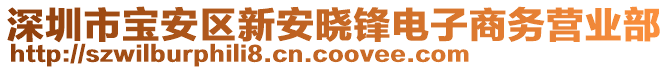 深圳市寶安區(qū)新安曉鋒電子商務(wù)營(yíng)業(yè)部