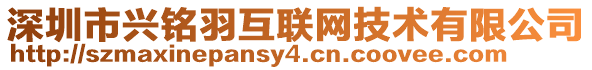 深圳市興銘羽互聯(lián)網(wǎng)技術(shù)有限公司