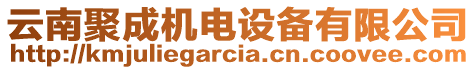 云南聚成機(jī)電設(shè)備有限公司