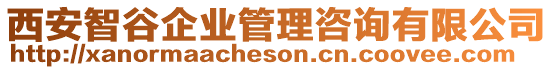 西安智谷企業(yè)管理咨詢(xún)有限公司