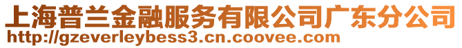 上海普蘭金融服務(wù)有限公司廣東分公司