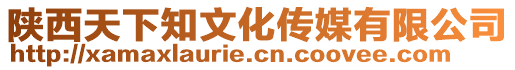 陕西天下知文化传媒有限公司