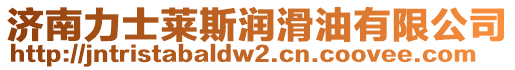 濟(jì)南力士萊斯?jié)櫥陀邢薰? style=