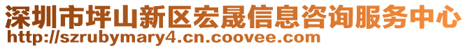 深圳市坪山新區(qū)宏晟信息咨詢服務(wù)中心