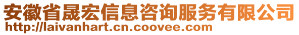 安徽省晟宏信息咨詢服務(wù)有限公司