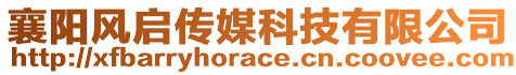 襄阳风启传媒科技有限公司