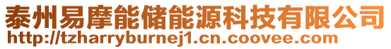 泰州易摩能儲能源科技有限公司