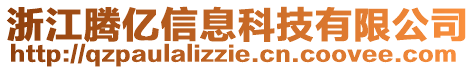 浙江騰億信息科技有限公司