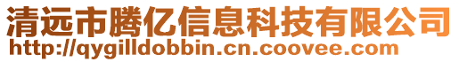 清遠(yuǎn)市騰億信息科技有限公司