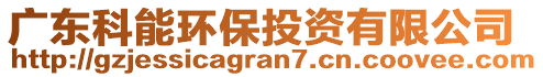 廣東科能環(huán)保投資有限公司