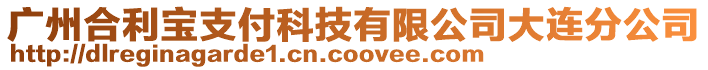 廣州合利寶支付科技有限公司大連分公司