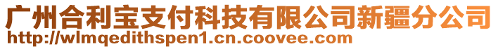 廣州合利寶支付科技有限公司新疆分公司