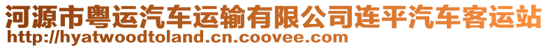 河源市粵運(yùn)汽車運(yùn)輸有限公司連平汽車客運(yùn)站