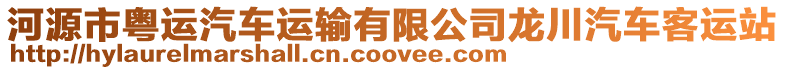河源市粵運(yùn)汽車運(yùn)輸有限公司龍川汽車客運(yùn)站