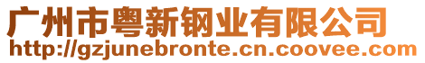 廣州市粵新鋼業(yè)有限公司