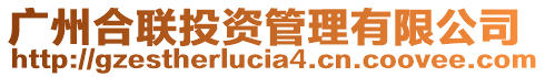 廣州合聯(lián)投資管理有限公司