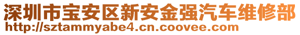 深圳市宝安区新安金强汽车维修部