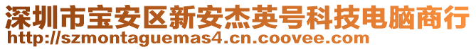 深圳市寶安區(qū)新安杰英號(hào)科技電腦商行