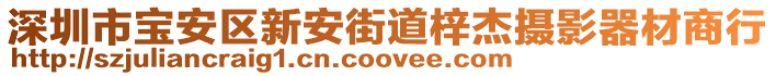 深圳市寶安區(qū)新安街道梓杰攝影器材商行